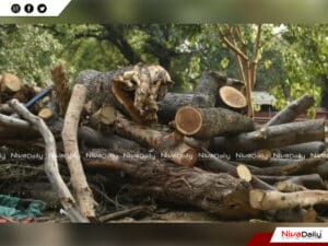 മുട്ടിൽ മരം മുറി കേസ്