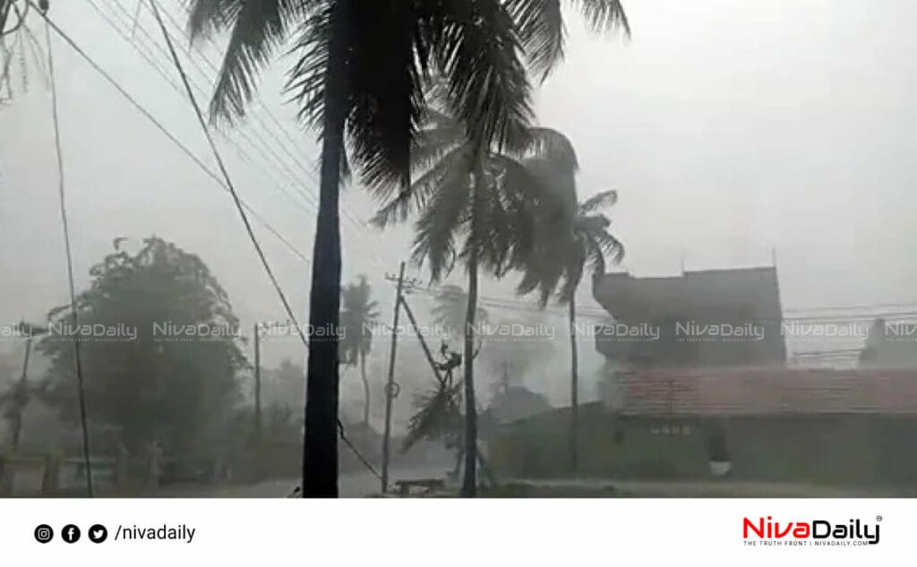 ഒറ്റപ്പെട്ട ശക്തമായ മഴയ്ക്ക് സാധ്യത