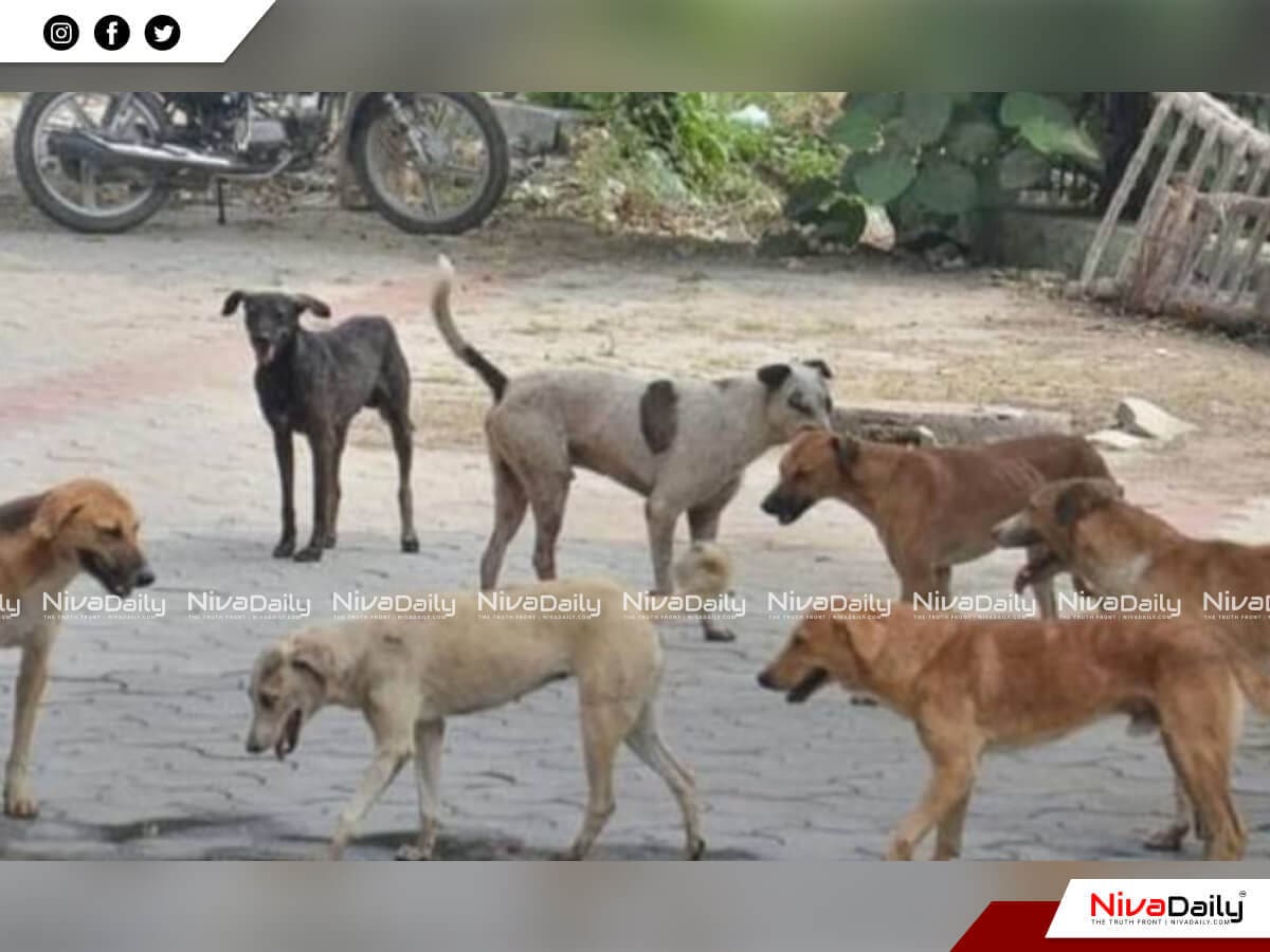 പിഞ്ചുകുഞ്ഞിന്‍റെ തല കടിച്ചെടുത്ത് നായ