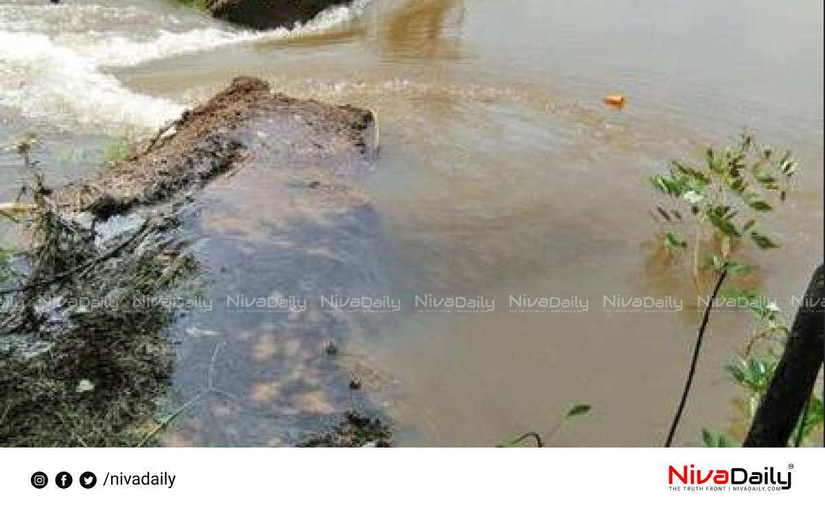 crop damage Kuttanad