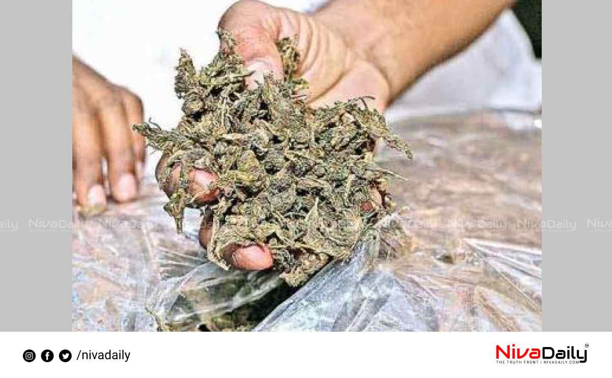 cannabis seized Trivandrum