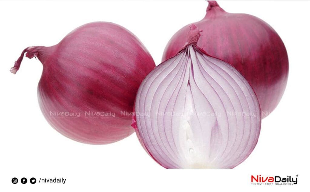 salmonella disease Onion