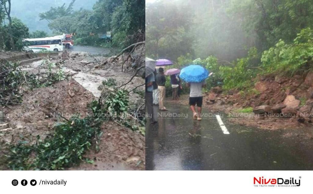 വയനാട്ടിലും കോഴിക്കോട്ടും മഴ ശക്തം