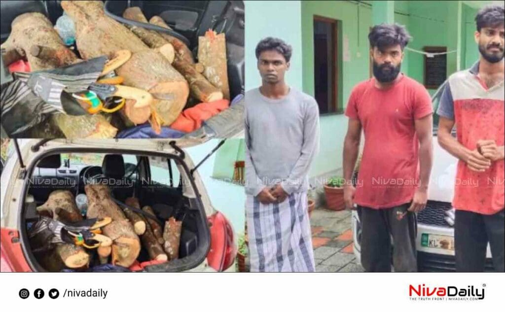 sandalwood seized from Wayanad