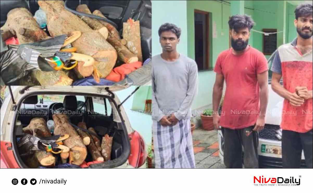 sandalwood seized from Wayanad