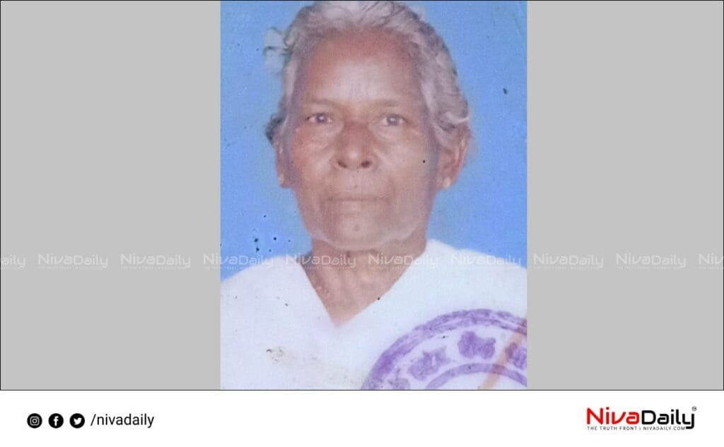 old women dead alappuzha