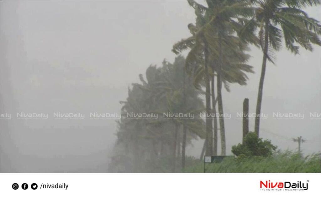 rain alert kerala