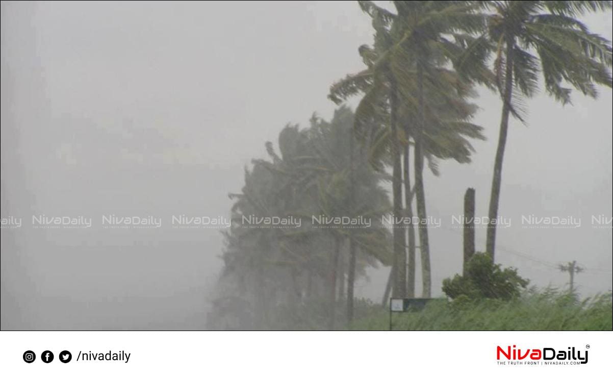 rain alert kerala