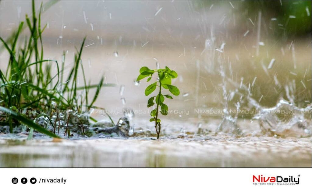 heavy rain kerala