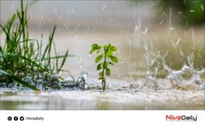 heavy rain kerala