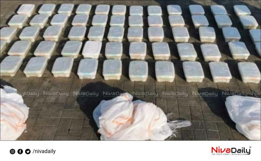 Two expatriates arrested for trying to smuggle drugs into Oman