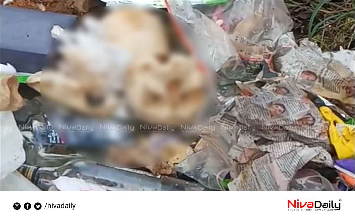 Skeleton was found among the Waste in Pala