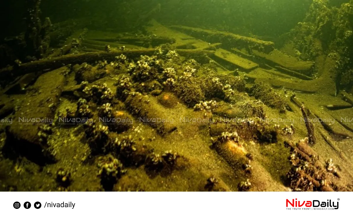 175-year-old champagne bottles shipwreck