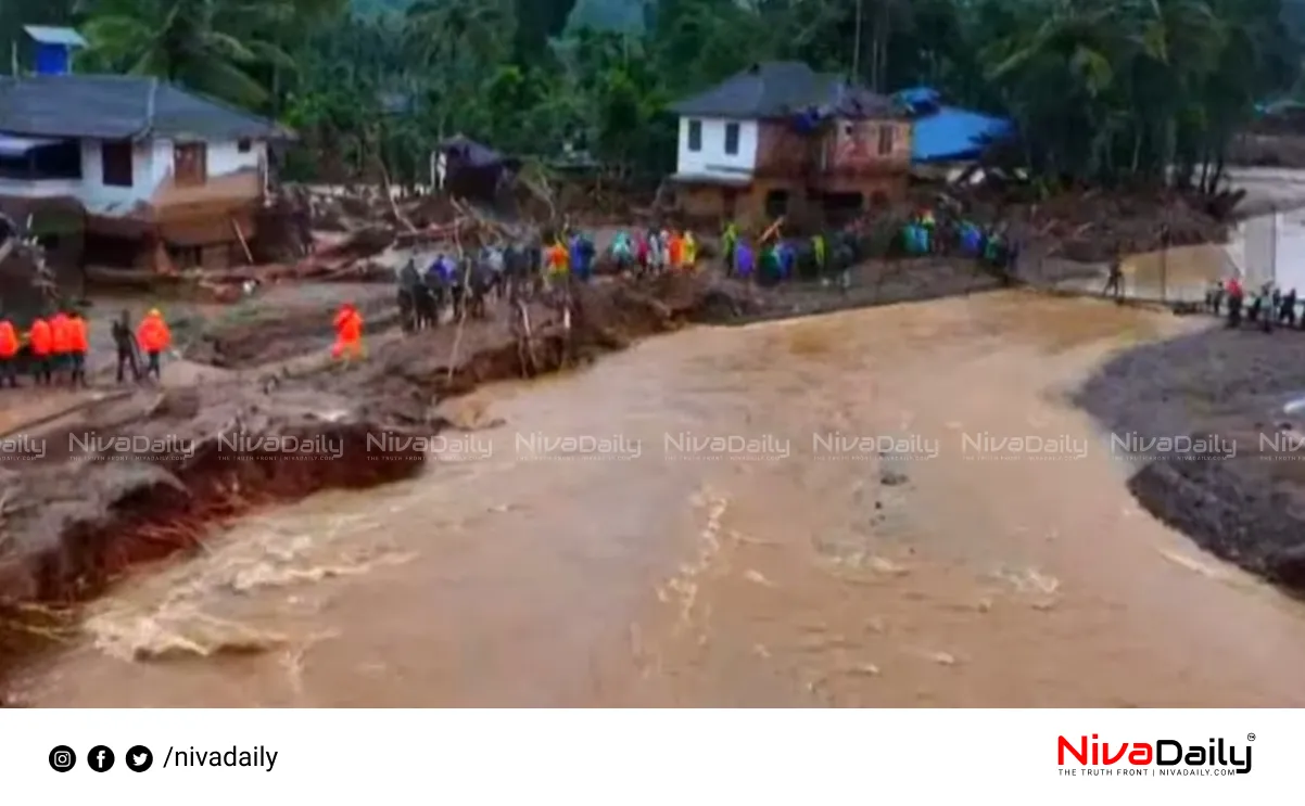 Wayanad landslide Kerala cabinet meeting