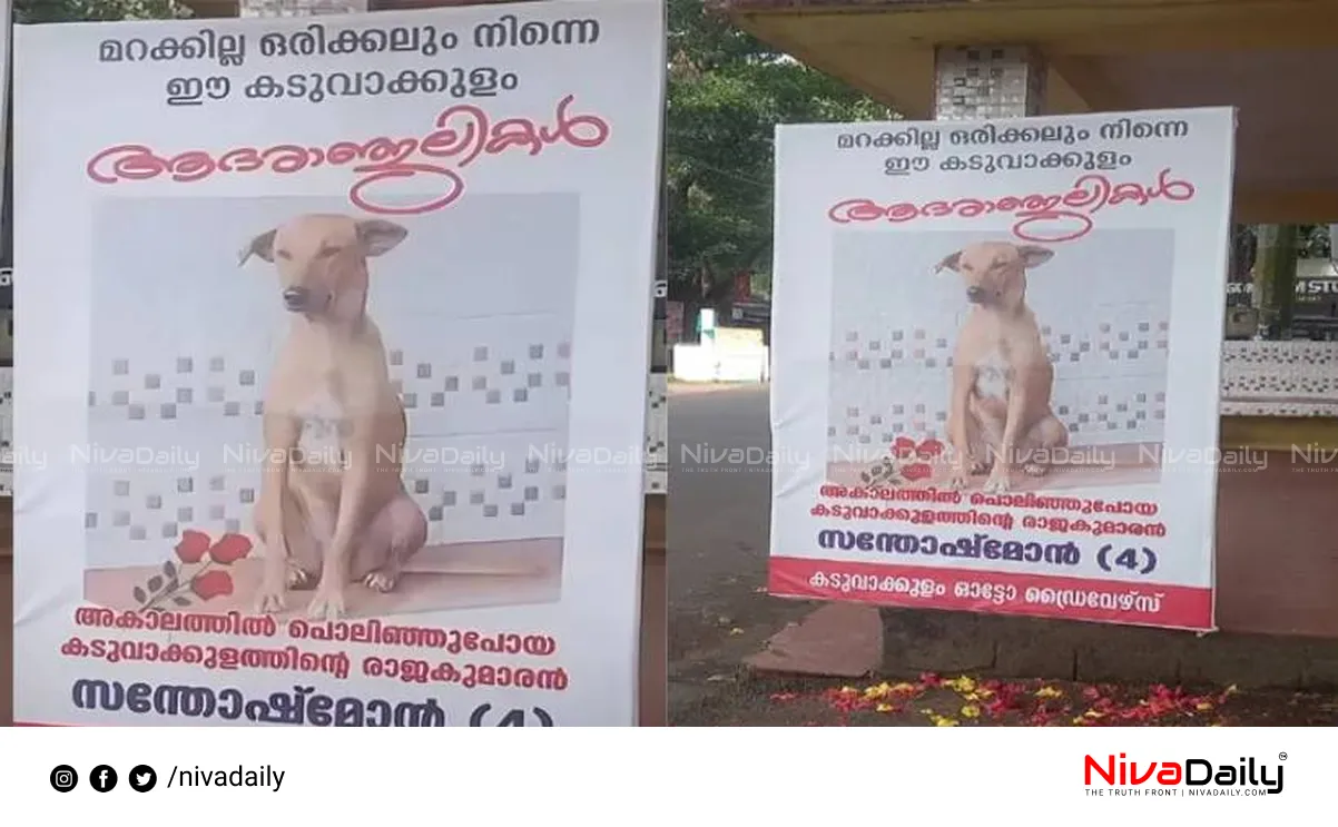 Kottayam stray dog death