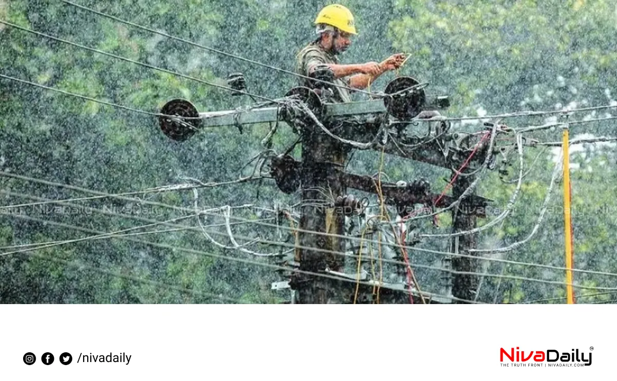 KSEB Wayanad landslide electricity restoration