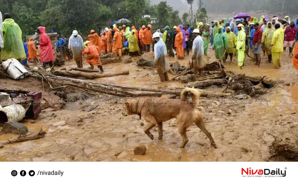 Wayanad landslide deaths