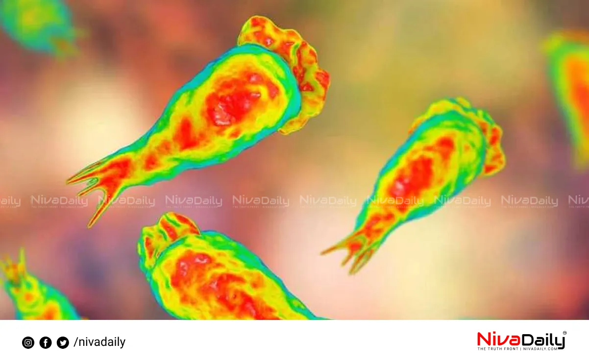 Amebic Meningoencephalitis Thiruvananthapuram