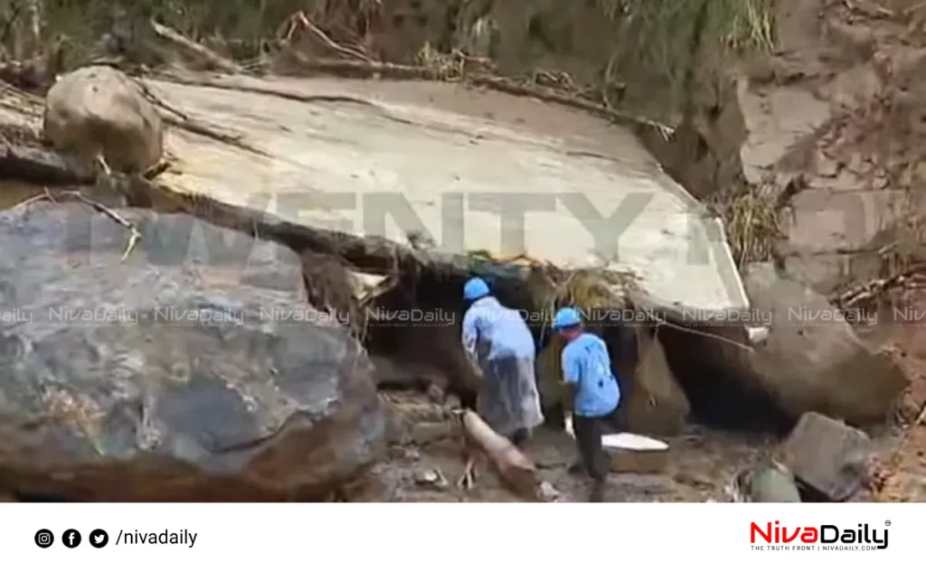 Wayanad landslide survivors