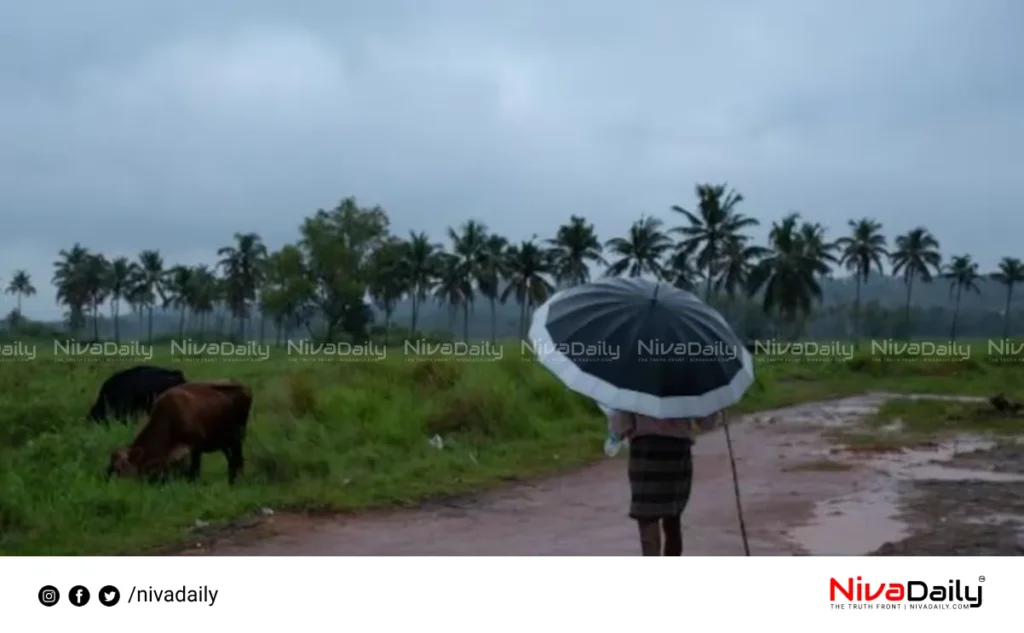 Kerala heavy rain alert