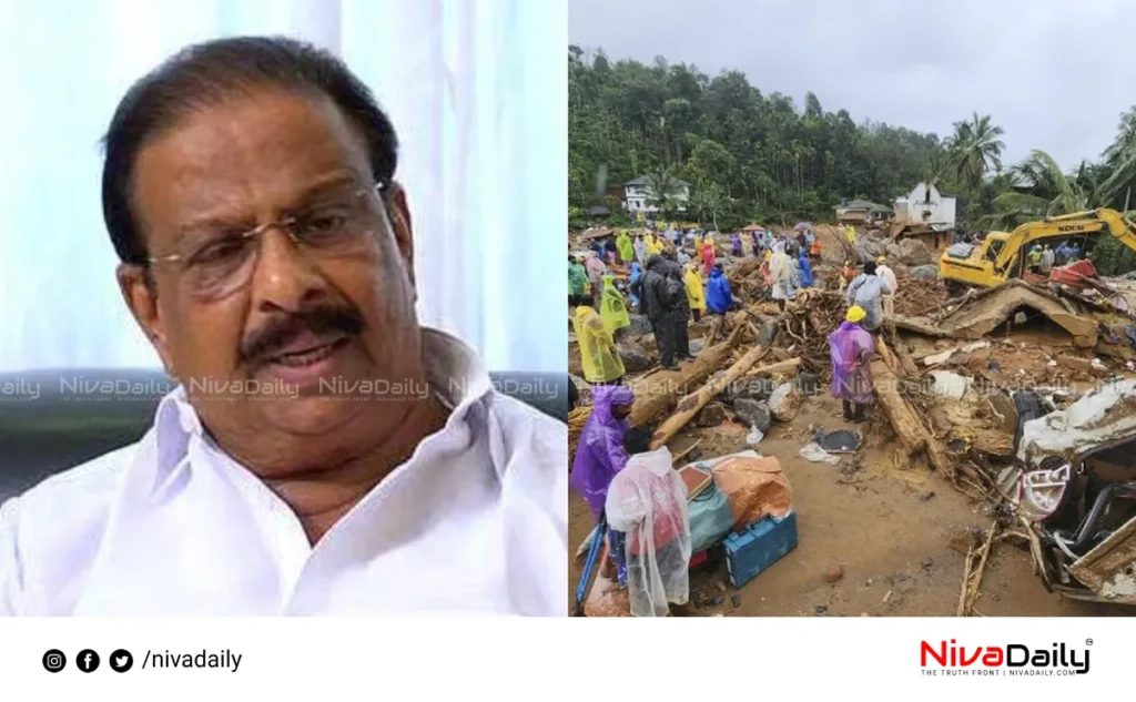 Wayanad landslide aid