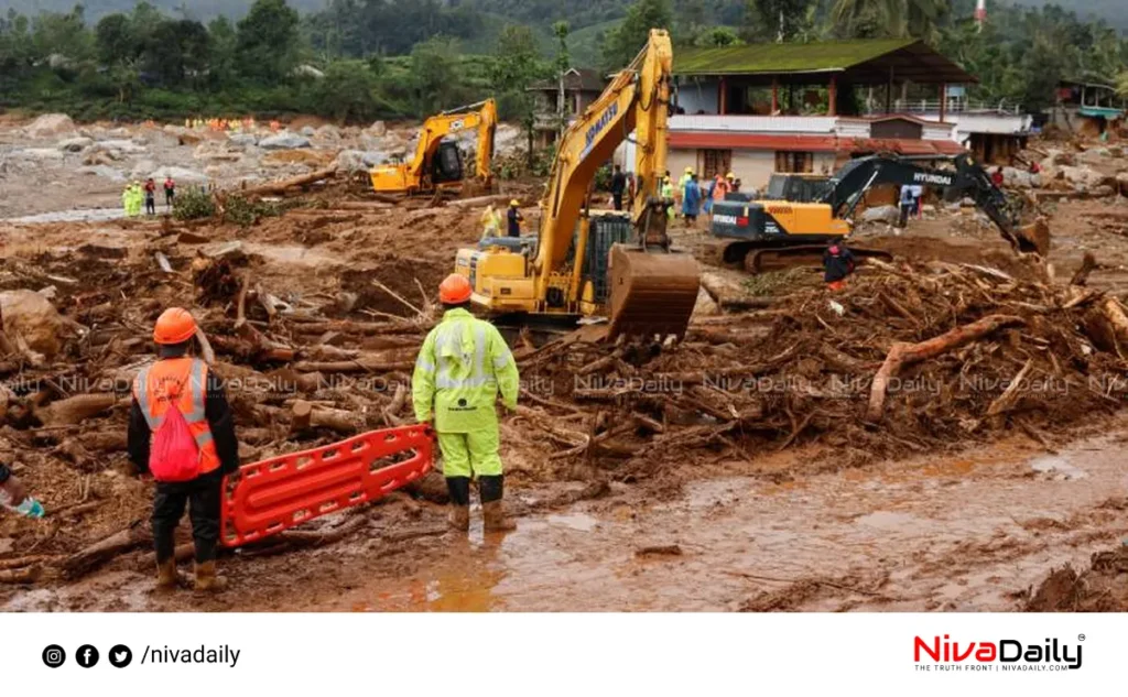 Wayanad landslide thieves