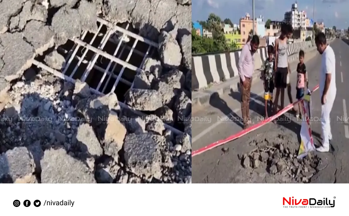 Bihar flyover pothole