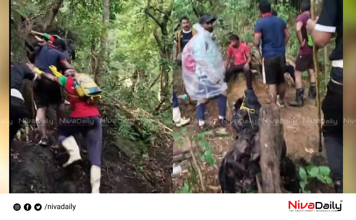 Wayanad disaster, body parts, rescue workers, air lifting