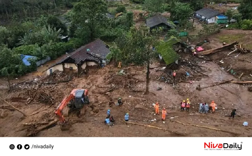 Wayanad rebuilding project