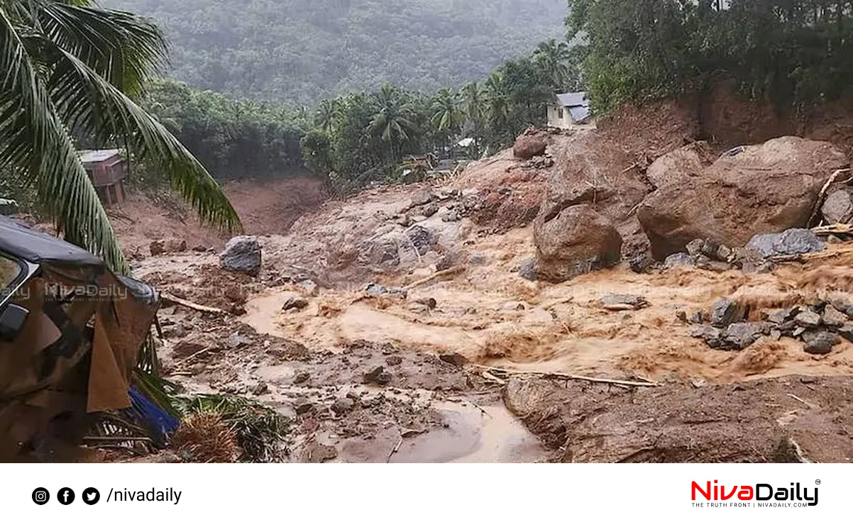 Wayanad landslide search