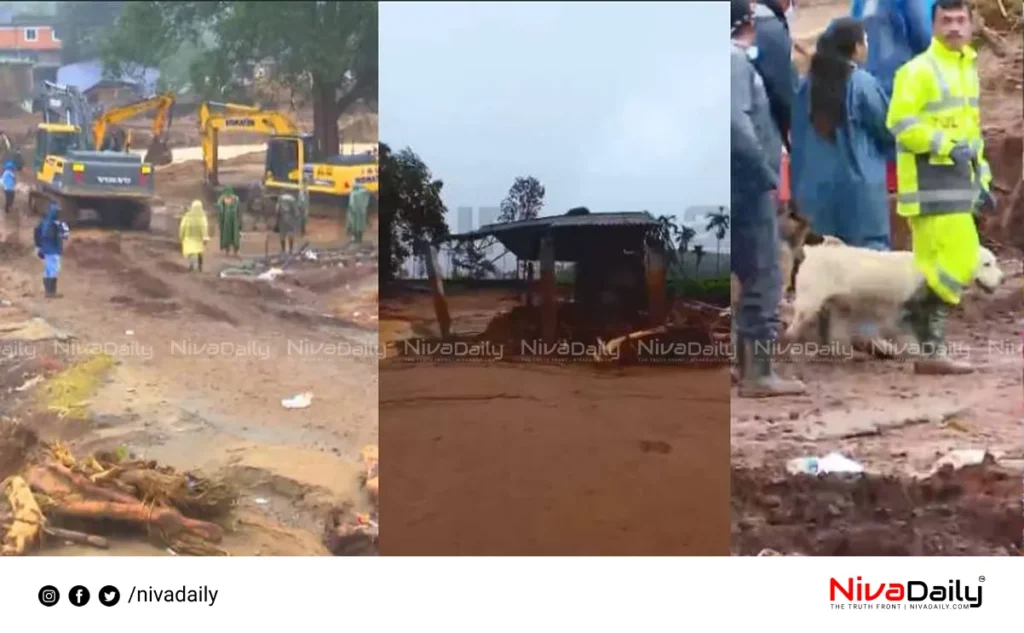 Wayanad landslide rescue