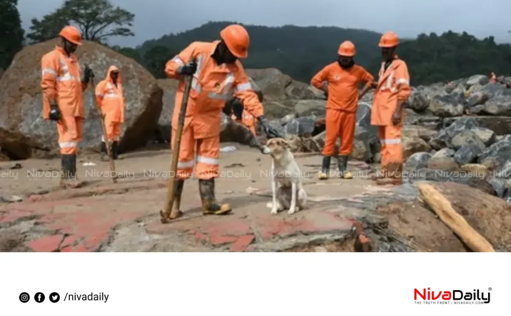 Wayanad landslide animal rescue