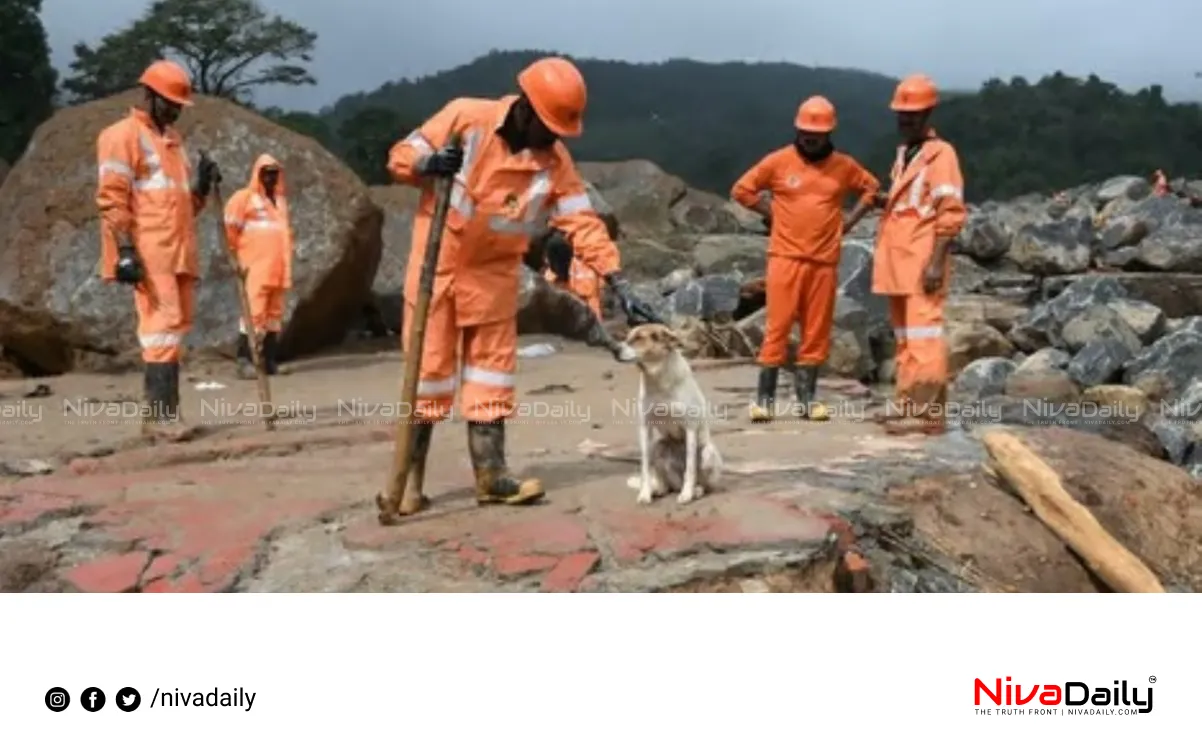 Wayanad landslide animal rescue