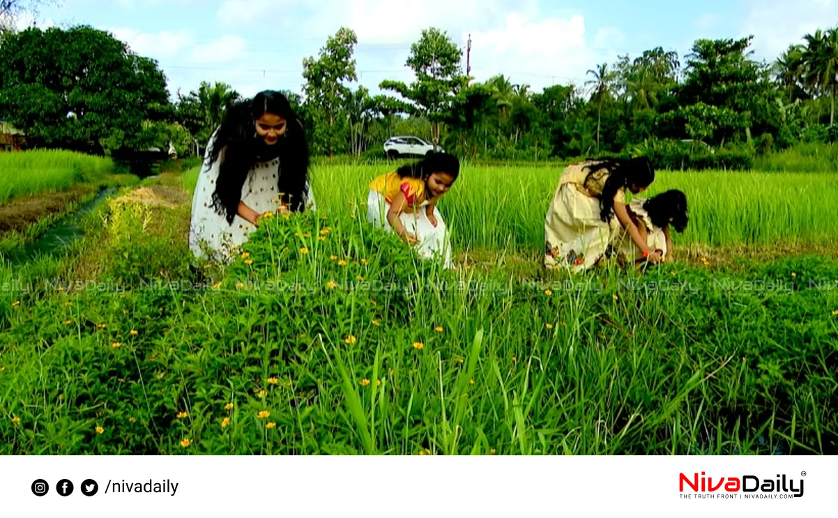 Onam 2023 Kerala