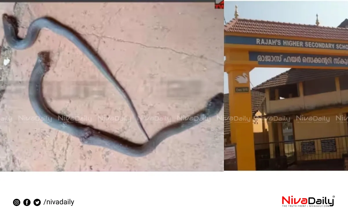 Snake bite teacher Kasaragod