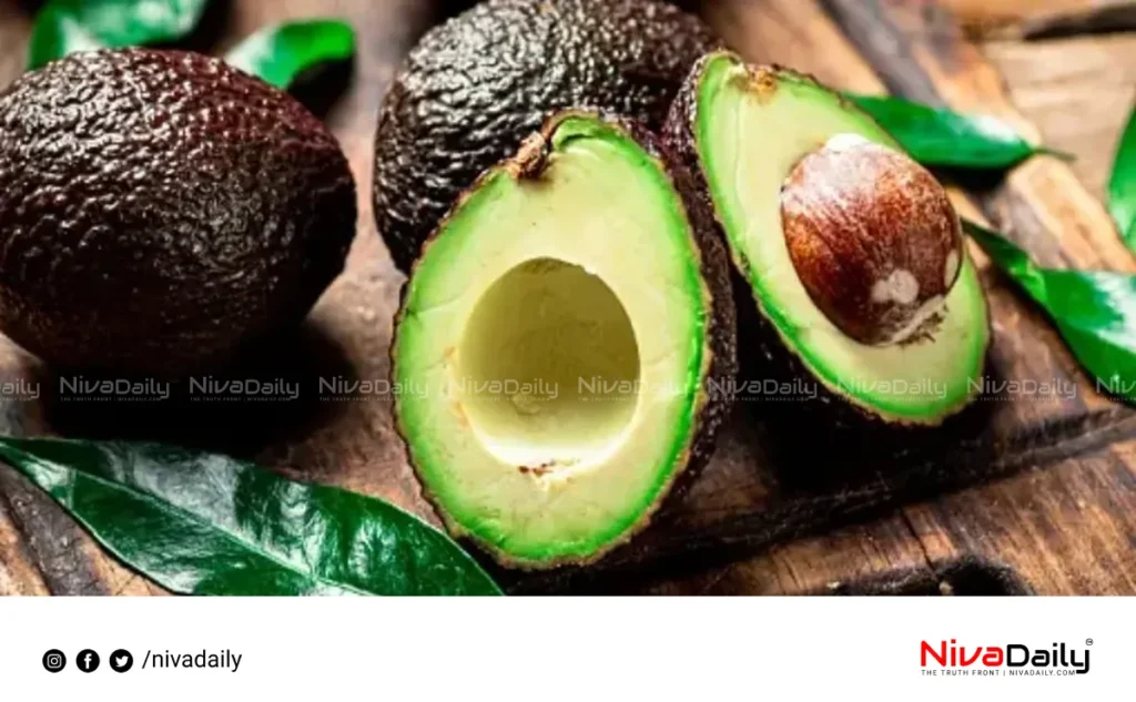 avocado health benefits