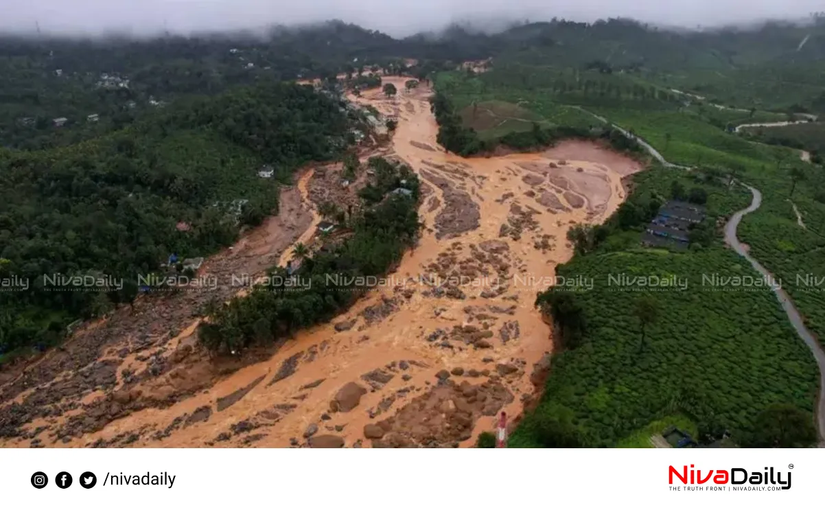 Kerala flood relief