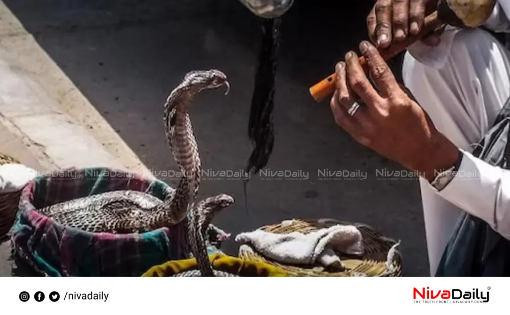 Snake charmer imprisonment Patna