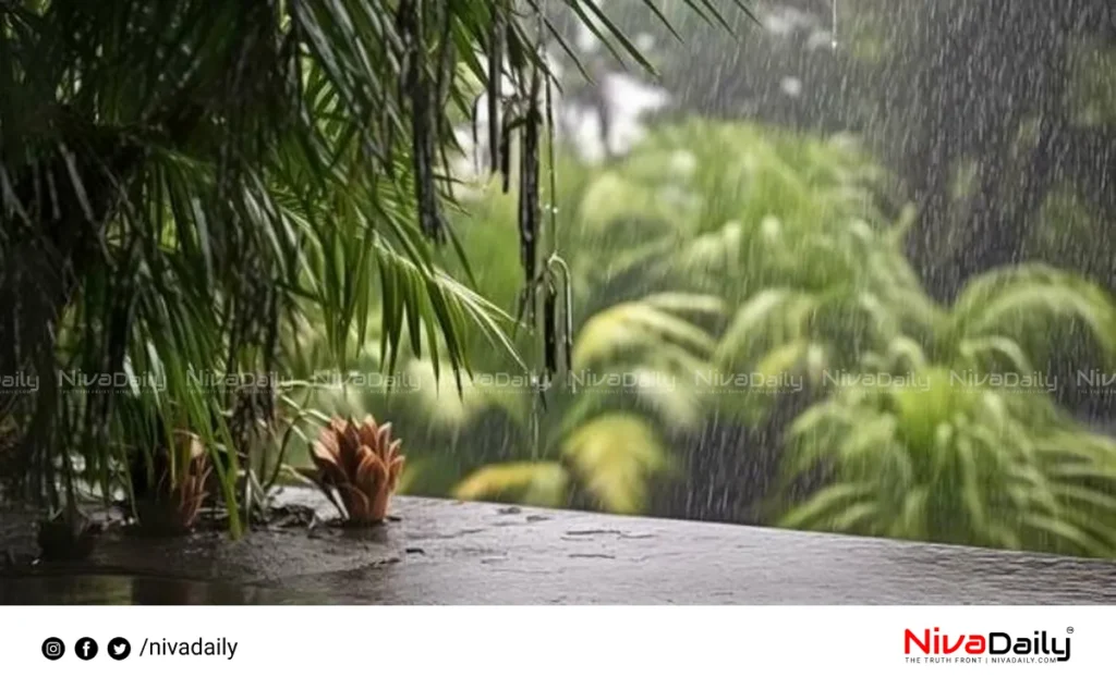 Kerala heavy rainfall yellow alert