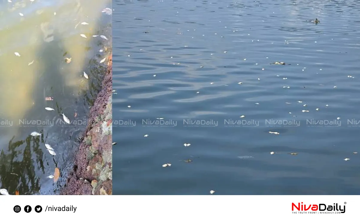 Kollam Ashtamudi lake fish death