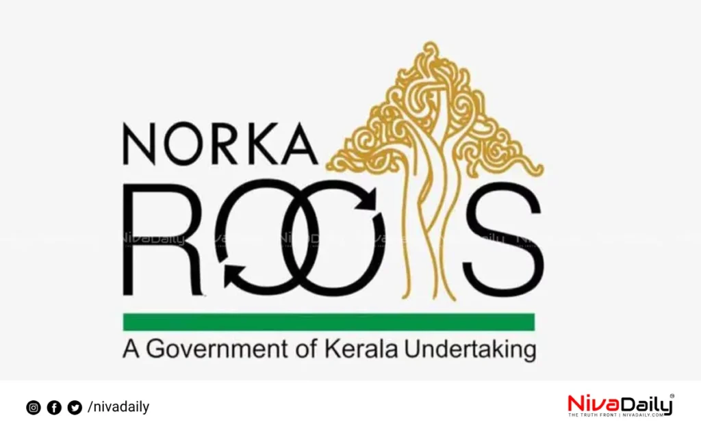 NORKA ROOTS financial assistance