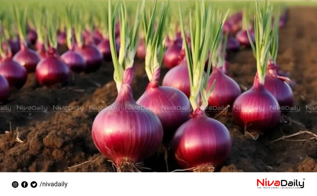 Onion price surge India