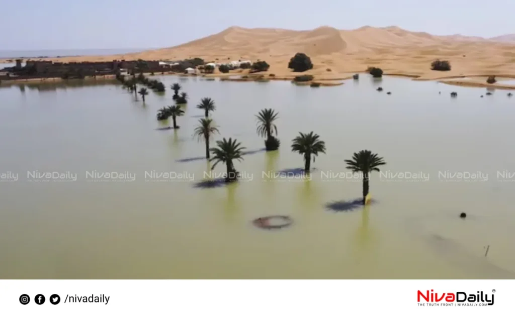 Sahara Desert flood