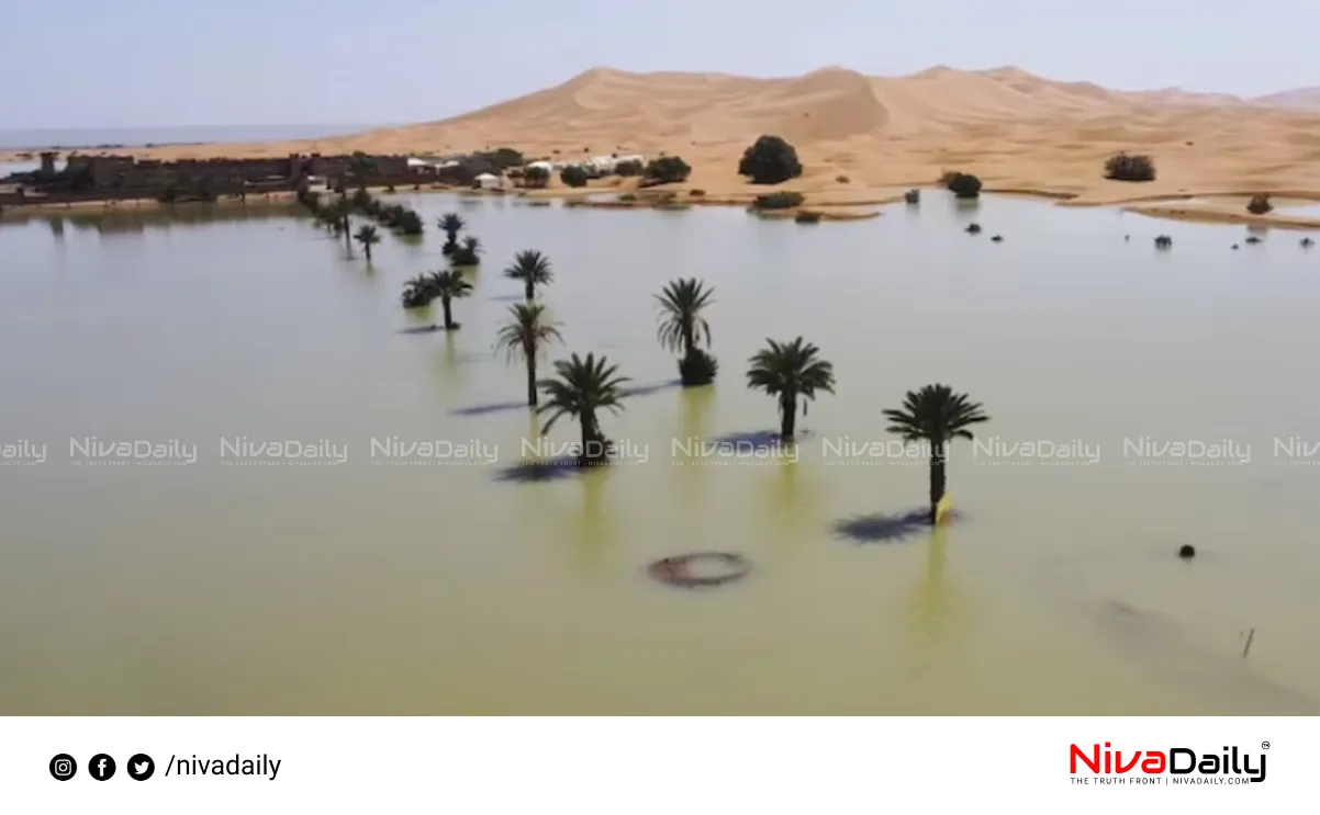 Sahara Desert flood