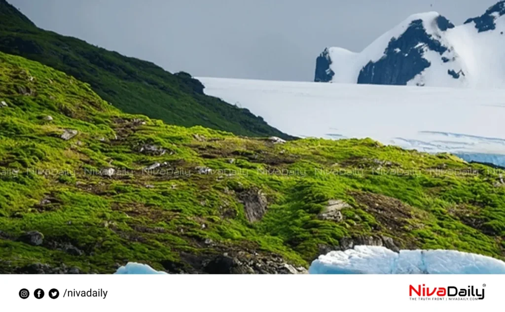 Antarctica greening climate change