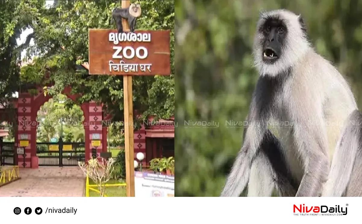 Thiruvananthapuram Zoo escaped monkeys