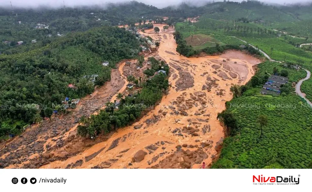 Wayanad landslide rehabilitation