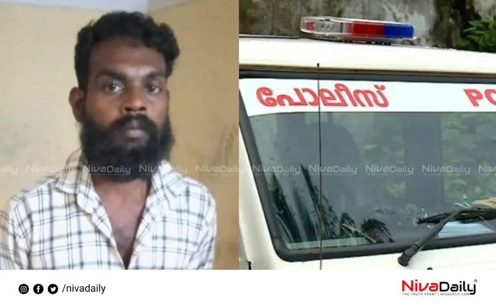 Kilimanoor murder