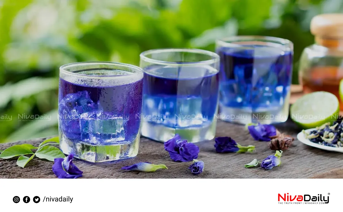 blue tea health benefits