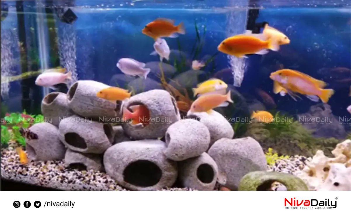 Chinese Feng Shui ornamental fish